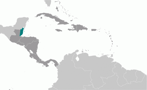 bh_large_locator