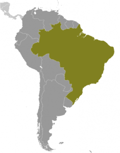 br_large_locator