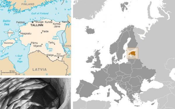 Estonia-Map