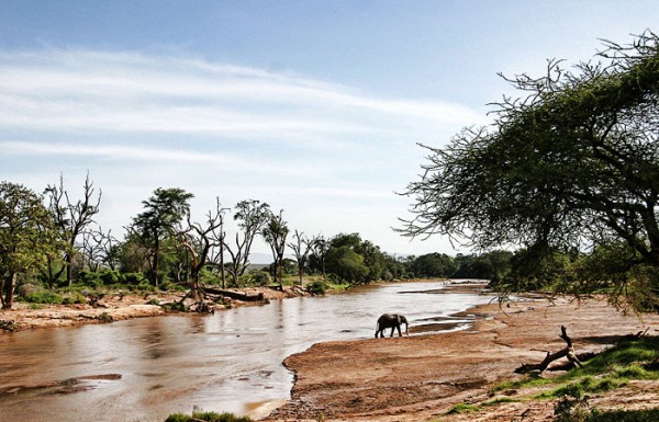 Kenyan-River