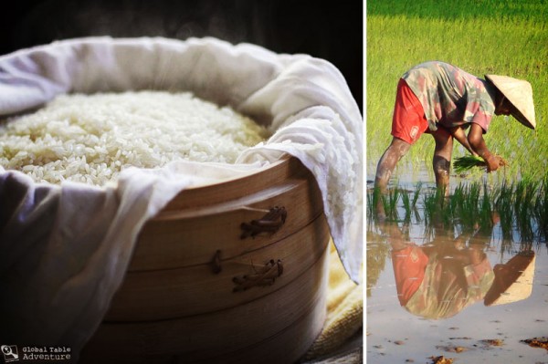 Glutinous-Rice