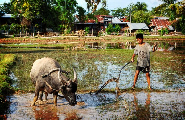 Laos