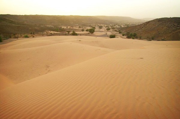 Mauritania-desert