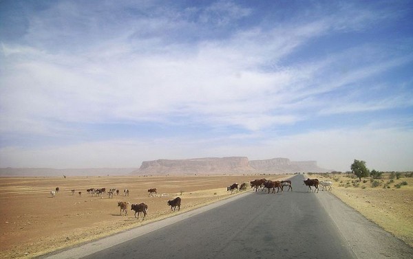 Road-of-Hope-Mauritania