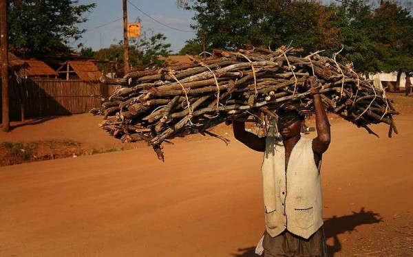 Mozambique-firewood