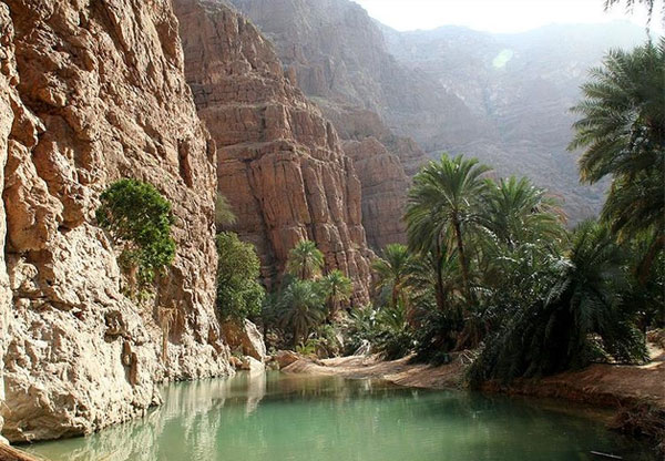oman-wad