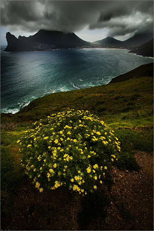 Chapman's Peak is a mountain and famous drive on the western side of the Cape Peninsula, 15 km south of Cape Town, South Africa. Photo by Hein Waschefort.
