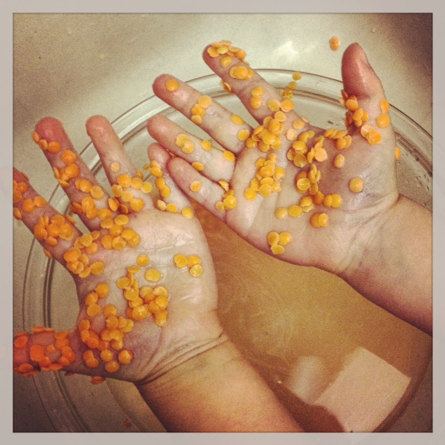 washing dal2
