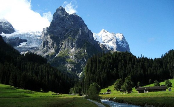 Wellenhorn