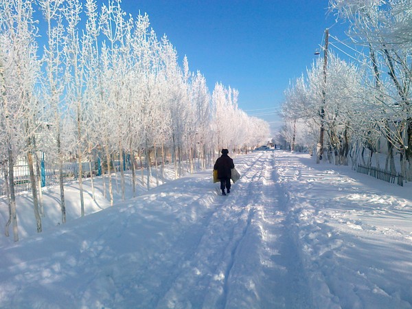 Photo by Uzbekistan in the snow, by Kmaksud2012.
