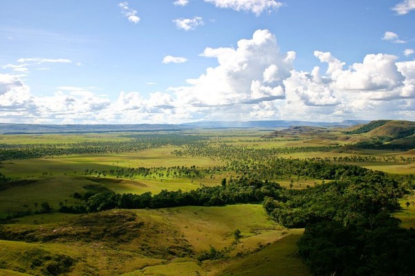 La Gran Sabana (Venezuela). Photo by Inti.