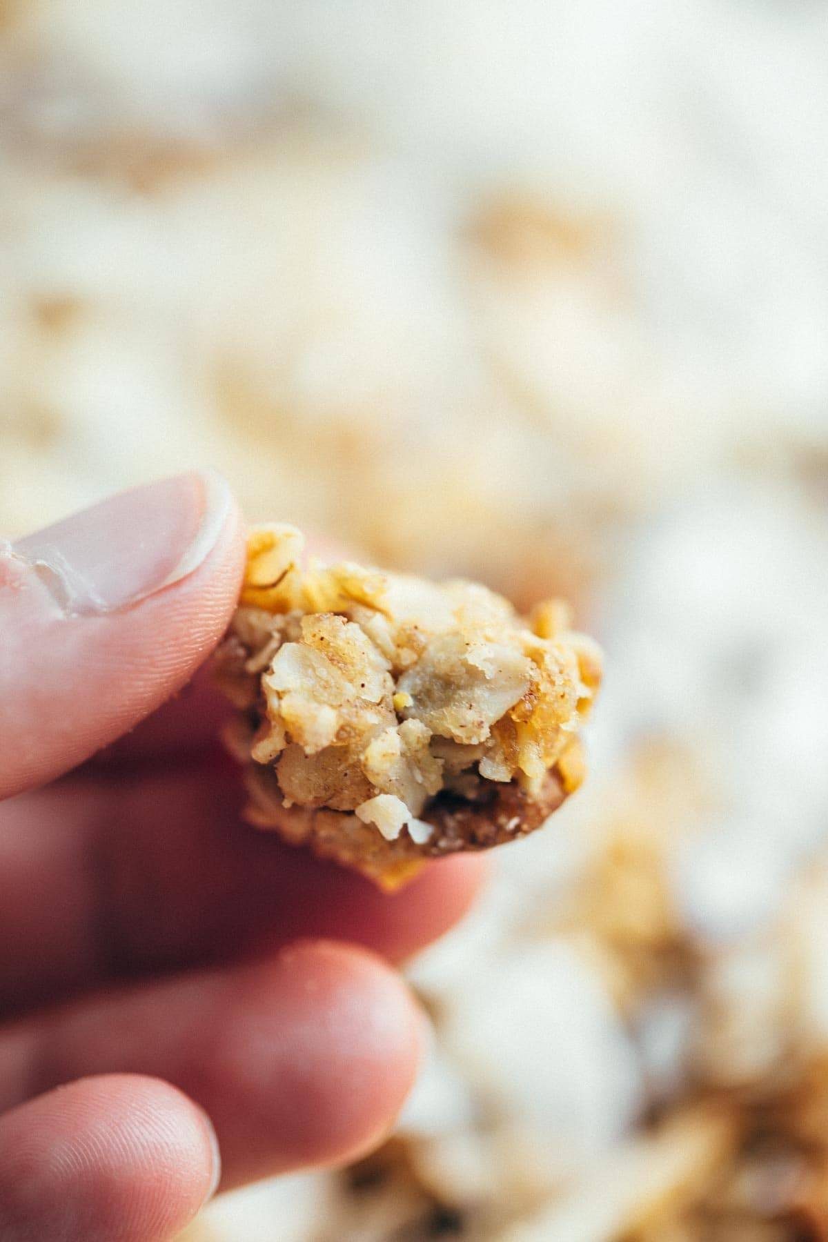 Perfect granola for taking along on summer vacation for easy, real food breakfasts! Made in 30 minutes. Simple and SO good! | pinchofyum.com